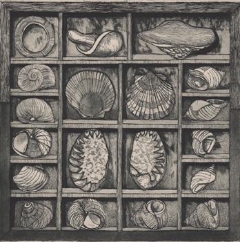 Thesaurus IV
Etching
200mm x 200mm
2004